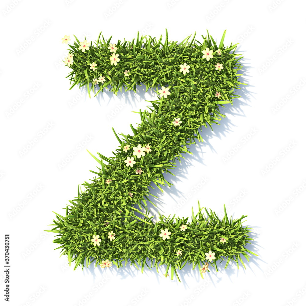 Wall mural Grass font Letter Z 3D