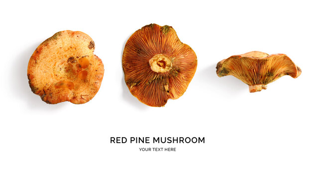 Creative layout made of red pine mushroom on the white background.. Flat lay. Food concept.  