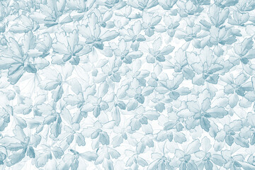 Floral pattern illustration white cyan 5315