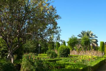 The popular gardens with fountains of Alcazar de los Reyes Cristianos, located in the Andalusian city of Cordoba, Spain.