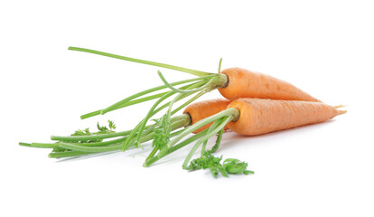 Fresh carrots on white background