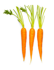 Fresh carrots on white background