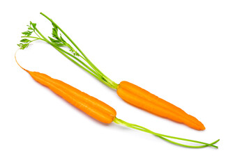 Cut fresh carrot on white background