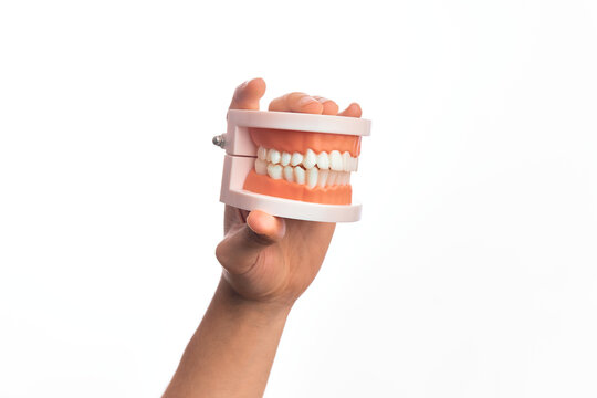 Hand of caucasian young man holding plastic denture teeth over isolated white background