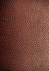 Fototapeta premium Football.
