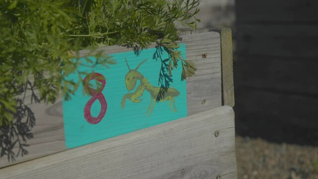 Grasshopper Garden Sign Painted by Children for Fun
