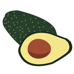 illustration of avocado - simple version