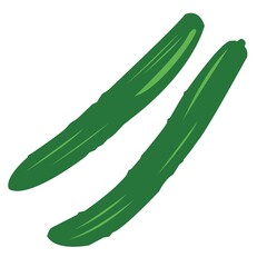 illustration of cucumber - simple version