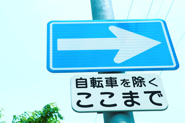 信号機と指定方向外進行禁止の道路標識 Wall Mural  Wallpaper Murals 