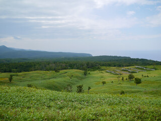 北海道知床半島の大自然