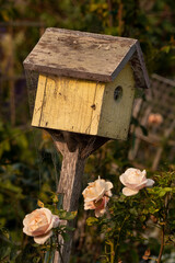 Old rustic yellow wooden birdhouse in a rose garden