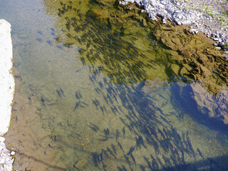 北海道知床半島の大自然