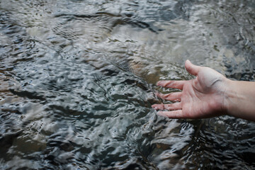 Hands touch in flowing water from the river in nature outdoors on a sunny warm day,