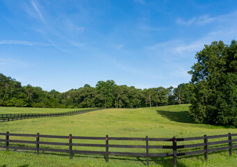 A rollling green field surrounded by trees and a wooden fence in a rural area in Georgia