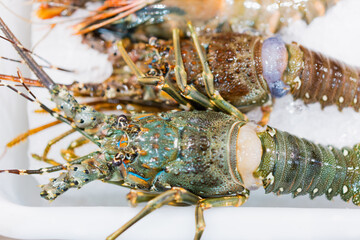 Seafood lobster in supermarket