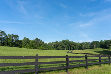 Fototapeta na wymiar A wooden fence runs through a hilly pasture along a dirt road on a farm in Georgia