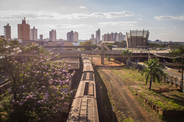 Fototapeta premium A cargo train crossing the city center of São José do Rio Preto/SP on a sunny day, depicting industrial transport moving through a vibrant urban Brazilian landscape