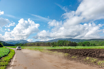 【群馬県 嬬恋村】キャベツ畑の広がる、嬬恋パノラマライン