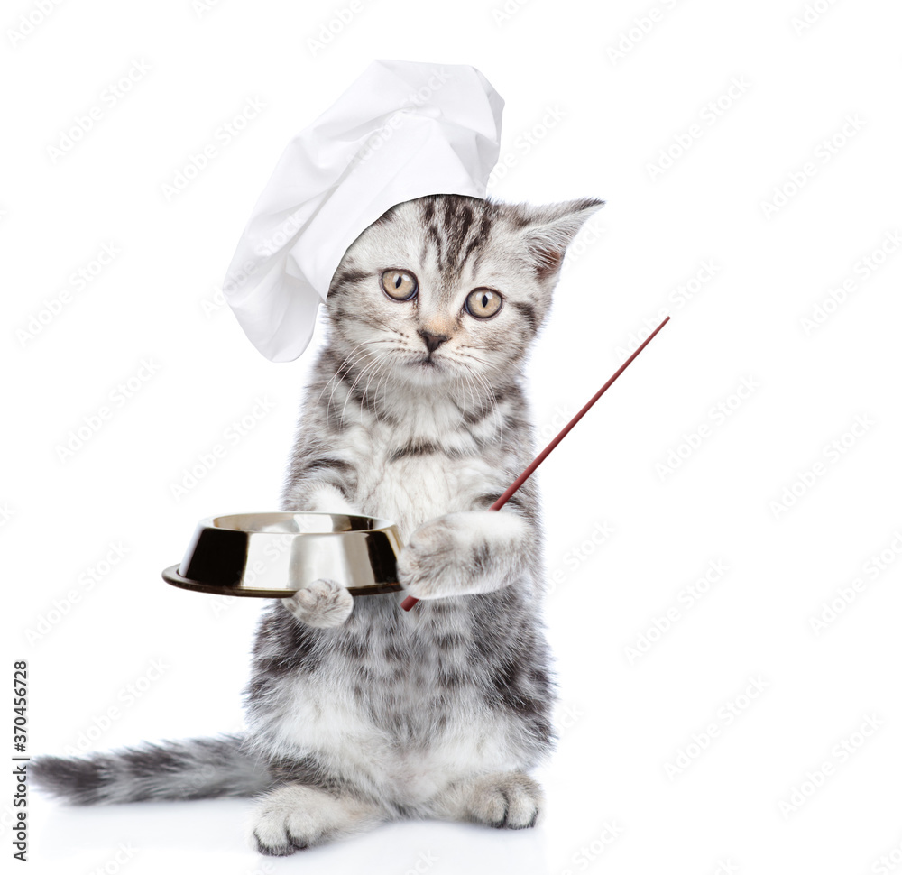 Poster Funny chef kitten holds a bowl and points away on empty space. isolated on white background