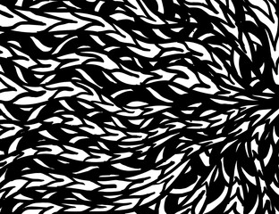 White and black vector. Grunge background. Abstract brush pattern. - 370456979