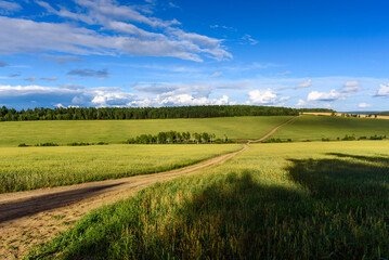 Summer Landscape with Wheat Field and Clouds