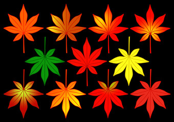 紅葉の葉（黒背景）