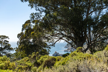 Big Sur - Central Coast - PCH - California