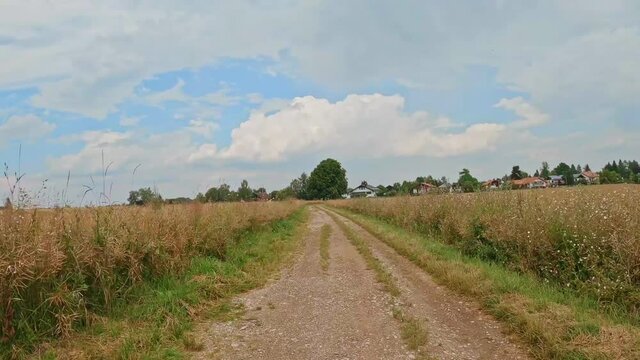 Hyperlapse of a bicycle trip from the drivers view at a country road with beautiful warm summer weather.