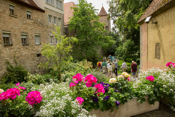 Fototapeta na wymiar A tour group walking through flowers on a path in Burggarten Park, Rothenburg, Germany.