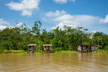 Casas ribeirinhas de madeira em margem de rio na floresta amazônica, Brasil. - obrazy, fototapety, plakaty