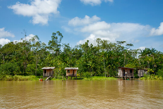 Casas ribeirinhas de madeira em margem de rio na floresta amaz&ocirc;nica, Brasil.