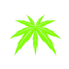 Vector illustration of Cannabis (marijuana) leaf