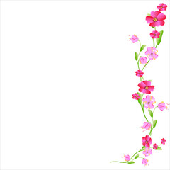 Obraz na płótnie Canvas beautiful flowers