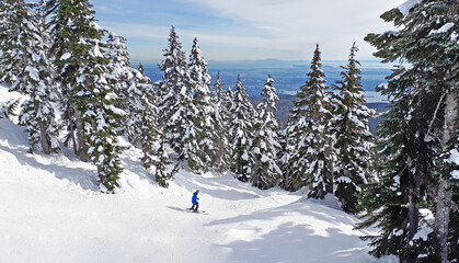 Downhill skiing on Cypress mountain, West Vancouver BC. The view on skier sliding hill between the...