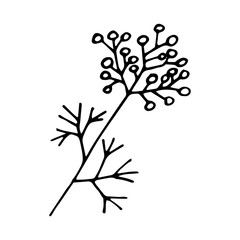 branch with berries and leaves hand drawn in doodle style. single element for design icon, card, poster, sticker. vector, scandinavian, hygge, monochrome. autumn, foliage forest plant