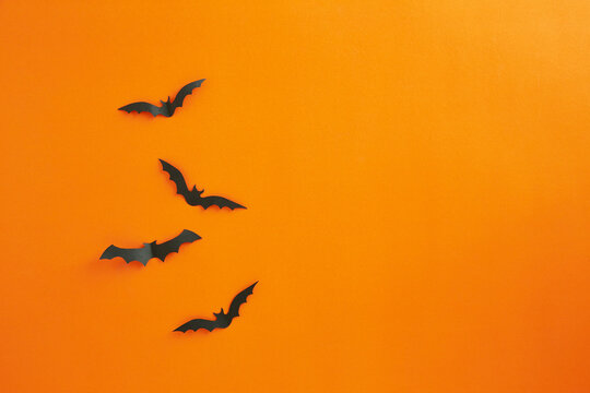 Halloween and decoration concept paper bats flying