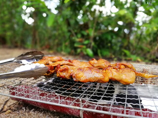 Outdoor camp fire and cooking