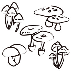 Mushrooms drawn with a brush-Vector art
