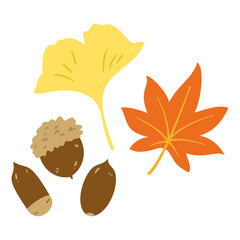 Autumn leaves and acorns