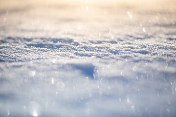 Macro background of fresh snowflake texture