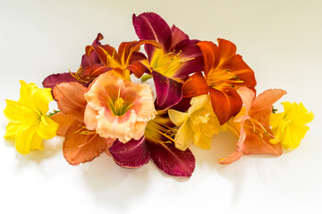 Composition of red, pink and yellow daylilies for congratulations and cards