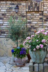 beautiful place in the garden in the mediterranean style, pots with flowers