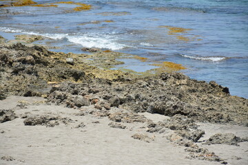 Beach sea water waves and sand shore