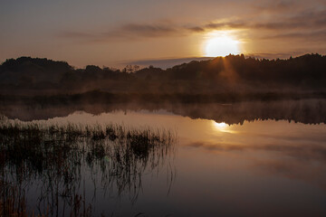 池と林の背後に日の出