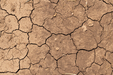 Dry land. Cracked ground ​ background