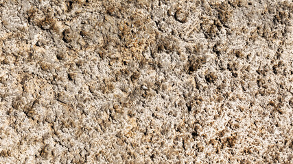 Textured background surface of the stone in the mountains
