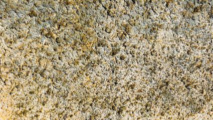 Textured background surface of the stone in the mountains