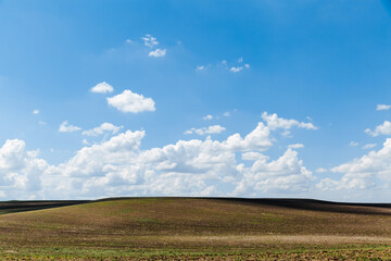 Green meadow under blue sky with clouds. Beautiful nature, landscape