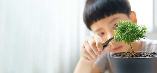 Portrait & Closeup, Cute young Asian child hold scissors to carefully trimming a beautiful shape...