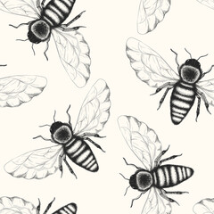 Seamless vector pattern with black and white hand drawn honey bees isolated on white background. Insect design for print, fabric, card, wallpaper, packaging